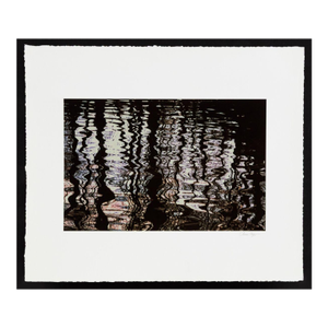 Anne Sager Forest Reflections Photograph Print