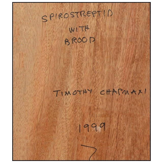 1990s Spirostreptida with Brood, Timothy Chapman For Sale - Image 4 of 4