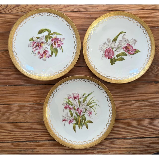 A matched set of ten antique French Limoges porcelain cabinet plates, each individually hand-painted with a different...