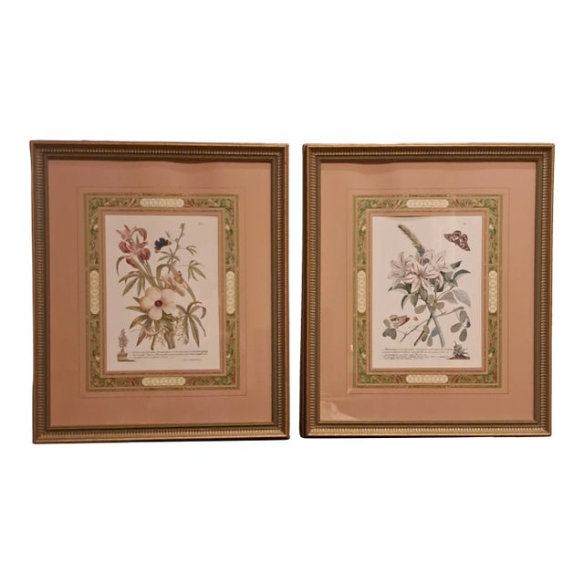 Exquisite Botanical Prints From the Sutton Collection (2) For Sale