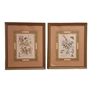 Exquisite Botanical Prints From the Sutton Collection (2)