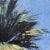 Realism Dazzle Blue - Contemporary Botanical Acrylic Palm Tree Ocean Sky Original Painting on Canvas Abstract Realism Art by Kathleen Keifer For Sale - Image 3 of 8