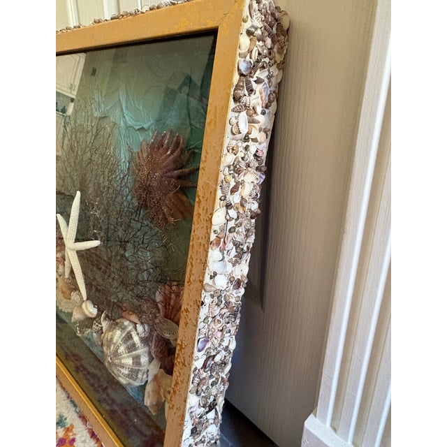 Vintage Seashell Collage Shadow Boxes -a Pair For Sale - Image 9 of 12