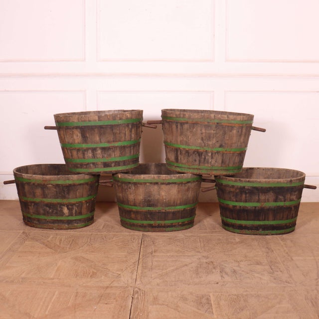 Wood French Grape Picking Tubs, 1920s, Set of 5 For Sale - Image 7 of 7