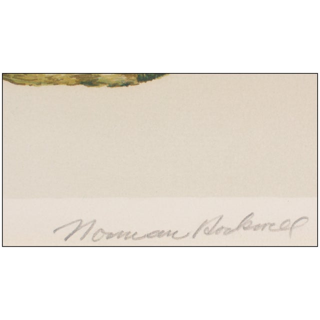 Late 20th Century Late 20th Century Buttercup Illustration Lithograph Norman Rockwell For Sale - Image 5 of 7