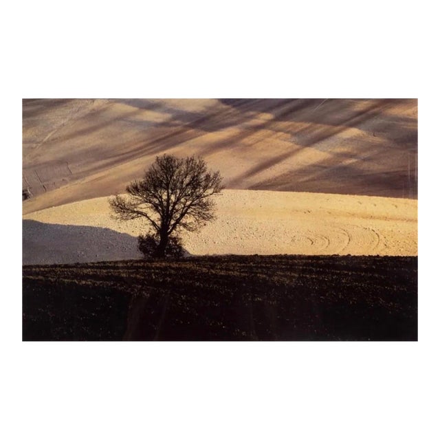 Franco Fontana, Italian Vintage Dye Transfer Photograph Franco Fontana Color Landscape Photo, 1987 For Sale