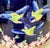 Antique English Victorian George Jones & Sons Majolica Jardinière, Blue Birds & Blooms, Circa 1875 For Sale In Dallas - Image 6 of 15