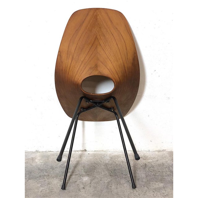 Curved Plywood Chair attributed to Vittorio Nobili for Brothers Tagliabue, 1950s For Sale - Image 12 of 16