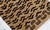 Modern Modern Tiger Rug by Doris Leslie Blau For Sale - Image 3 of 9