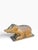 Antique Folk Art Pig Sculpture For Sale - Image 4 of 6