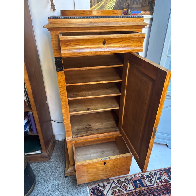 Mid 19th Century Mid 19th Century Biedermeier Style Tall Cabinet For Sale - Image 5 of 15