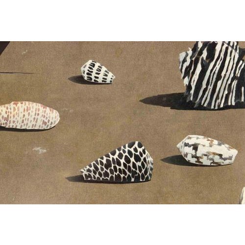 Gino Guida, Table with Shells, 1980s, Oil on Plywood For Sale - Image 4 of 5
