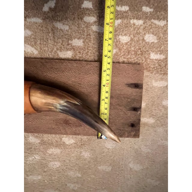 Vintage Mounted Bull Horns For Sale - Image 9 of 12