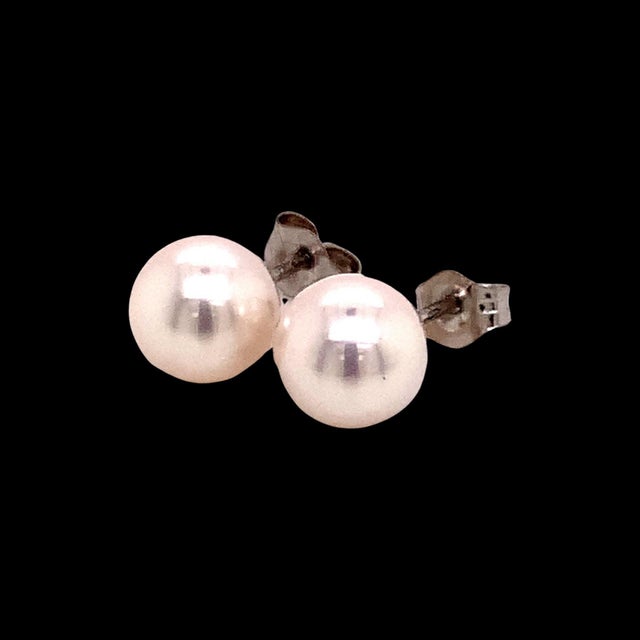 2010s Akoya Pearl Earrings 14k White Gold Certified For Sale - Image 5 of 18