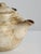 1990s Glazed Stoneware Teapot by Hervé Rousseau for Atelier De Boisbelle, La Borne, 1990s For Sale - Image 5 of 12