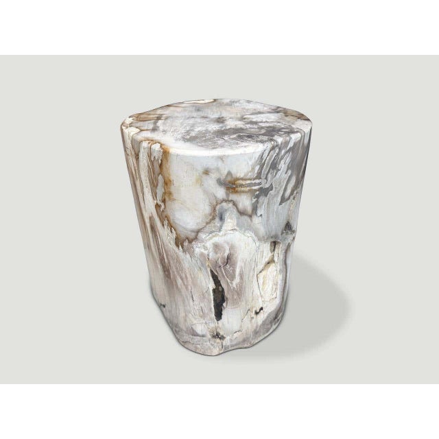 Andrianna Shamaris Ancient Petrified Wood Side Table For Sale In New York - Image 6 of 6