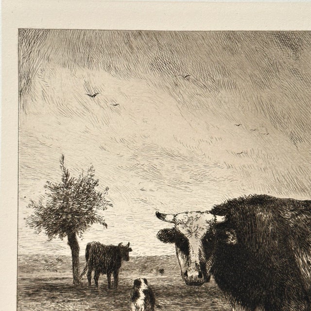 Rustic European Robert Swain Gifford - Normandy Cattle by Constantine Troyon Chine Collé Print, Signed (1887) For Sale - Image 3 of 5