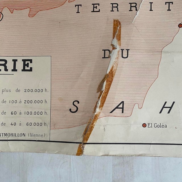 Beige Vintage School Map, Tunisia / Algeria, 1950s For Sale - Image 8 of 14