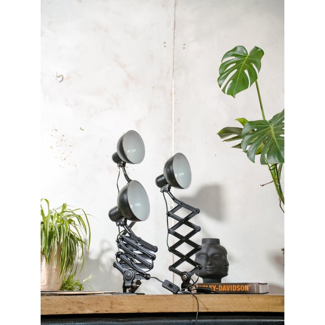 Bauhaus 6718 Scissor Lamp in Satin Black by Christian Dell from Kaiser Idell, 1930s, Set of 3 For Sale - Image 13 of 18