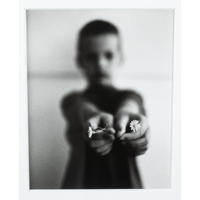 Machiel Botman, Machiel Botman Vintage Silver Gelatin Photograph Print IJKE 1993 Photo Flowers, 1993 For Sale