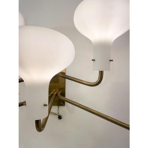 Mid-Century LP12 Wall Lights attributed to Ignazio Gardella for Azuzena, 1960s, Set of 2 For Sale - Image 6 of 18