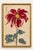 Asian Floral Giclee, Vintage Japanese Red Botanical Art Print, 40" X 60" For Sale In Buffalo - Image 6 of 9