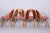 Mid-Century Dining Chairs attributed to Antonín Šuman in Beech & Walnut, Czech, 1950s, Set of 4 For Sale - Image 9 of 11