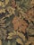 Fully-Upholstered Jacquard Tapestry Parsons Bench, 1980s For Sale - Image 16 of 16