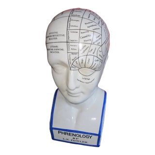 20th C. English Ceramic Phrenology Head by Fowler London For Sale