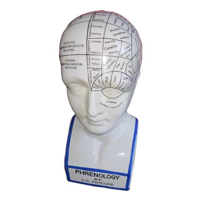 20th C. English Ceramic Phrenology Head by Fowler London For Sale