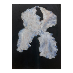 “Bearded Iris” Impressionistic Oil Painting by Jack Follmer