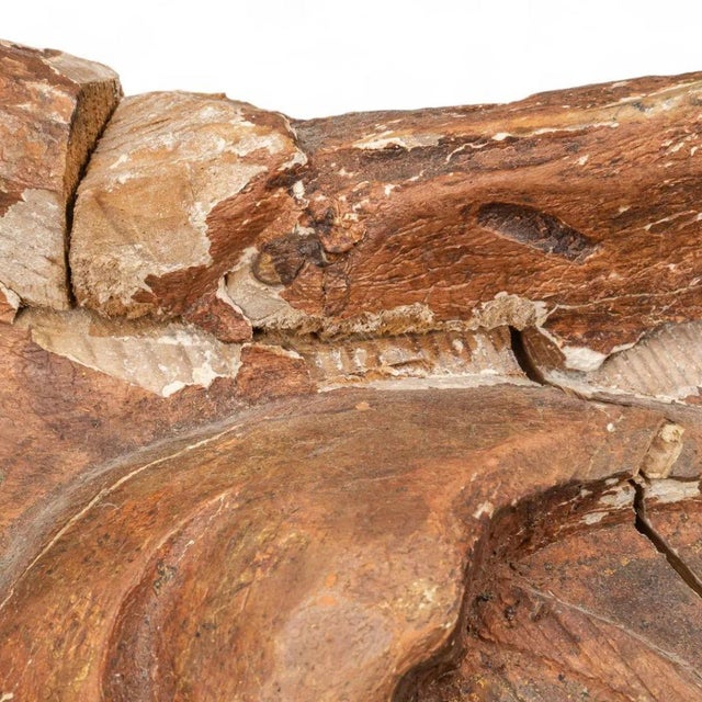 Wood Mid 19th Century Neoclassical Mirror Frame For Sale - Image 7 of 8