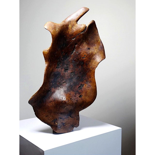 Rustic Large Bowl in Dark Raw Wood, 1950s For Sale - Image 3 of 17