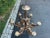 Baroque Early 20th Century Baroque Giltwood Chandelier For Sale - Image 3 of 11