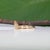 Gold Crown Stackable Band in Solid 18k Yellow Gold – Regal Stacking Ring, Size 6.75 For Sale - Image 8 of 11