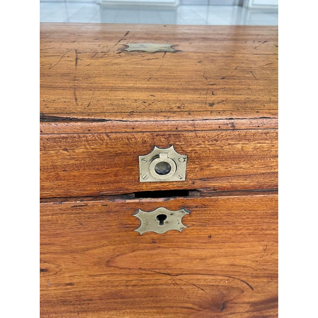 Antique Brass-Trimmed Camphor Wood Chest For Sale In New York - Image 6 of 12