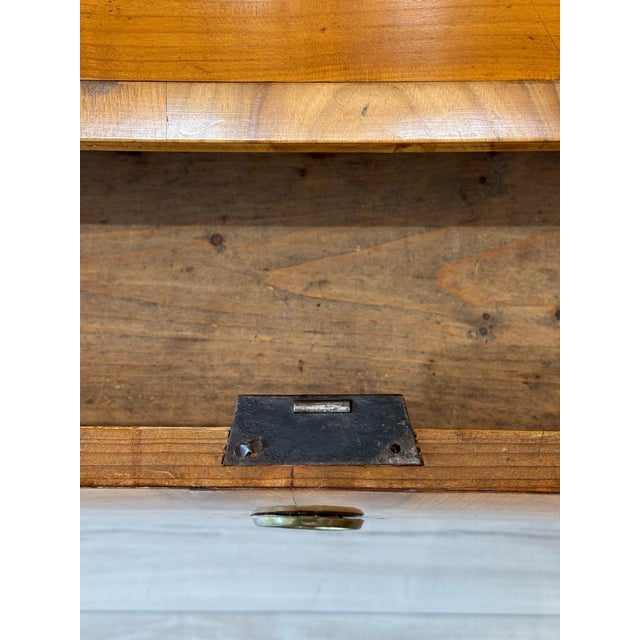 Wood Early 19th Century Biedermeier Commode For Sale - Image 7 of 11