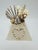 Italian Italian Marble and Shell Sculpture For Sale - Image 3 of 8