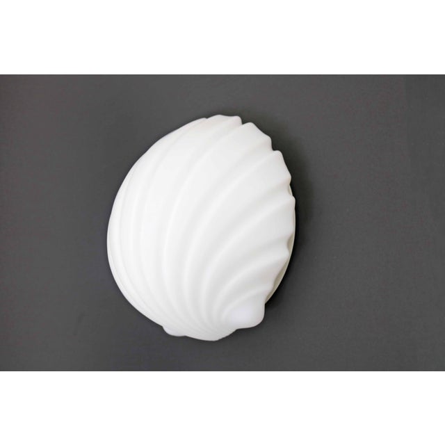 Shell Wall Lamp in Opal Glass from Glashütte Limburg, 1970s For Sale - Image 4 of 11