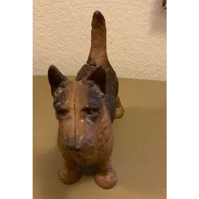 This adorable little guy is just too cute for words. He is just downright precious and is looking for a good home. He...