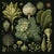 Set of 15 - 90' X 54' Evergreen Organic Modern Gallery Wall Installation Botanical Prints - Dark Green, Unframed For Sale - Image 17 of 17