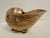 Metal Rosenthal Netter Brass Seashell Nautilus Planter or Cachepot For Sale - Image 7 of 12