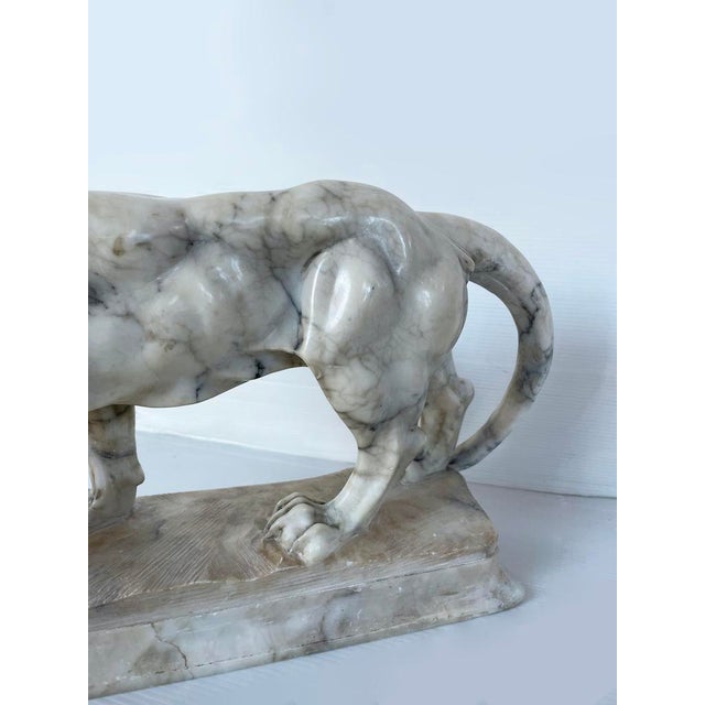 Lioness Sculpture, Early 20th Century, Alabaster For Sale - Image 6 of 9