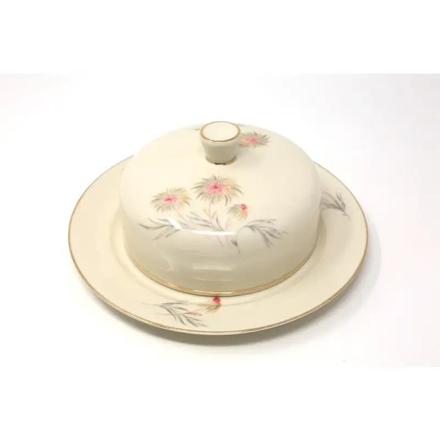 Eggshell Vintage Bavarian "Annette" Butter or Brie Dish by Rosenthal For Sale - Image 8 of 12