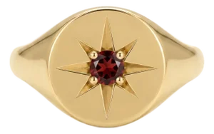Celestial Garnet Signet Ring, Gold Starburst Ring, Compass Style Gold Ring for Women Us 7