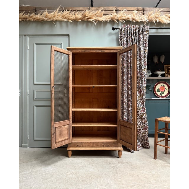 Antique Library with Wire Mesh Doors, 1890s For Sale - Image 6 of 16