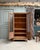 Antique Library with Wire Mesh Doors, 1890s For Sale - Image 6 of 16