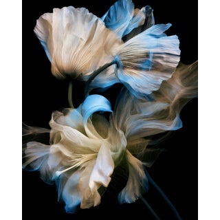 "Azure Reveire" Limited Edition Fine Art Photograph For Sale