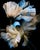 "Azure Reveire" Limited Edition Fine Art Photograph For Sale