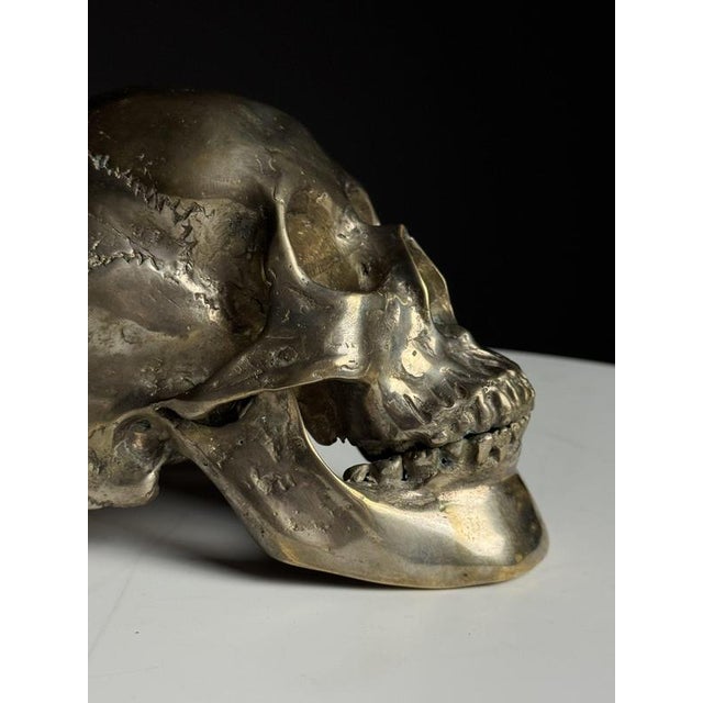 Early 20th Century Bronze Skull For Sale - Image 6 of 14